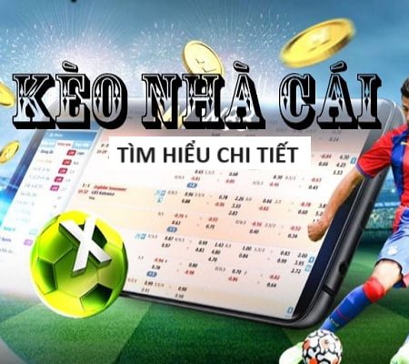 Lịch Thi Đấu Châu Âu Euro 2024 Cập Nhật Liên Tục