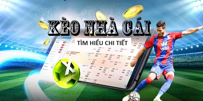 Lịch Thi Đấu Châu Âu Euro 2024 Cập Nhật Liên Tục Lịch Thi Đấu Châu Âu Euro 2024 Cập Nhật Liên Tục
